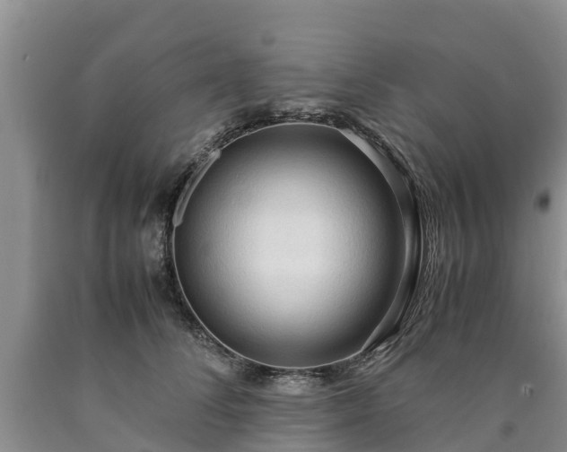 X0000090620708200707241129
