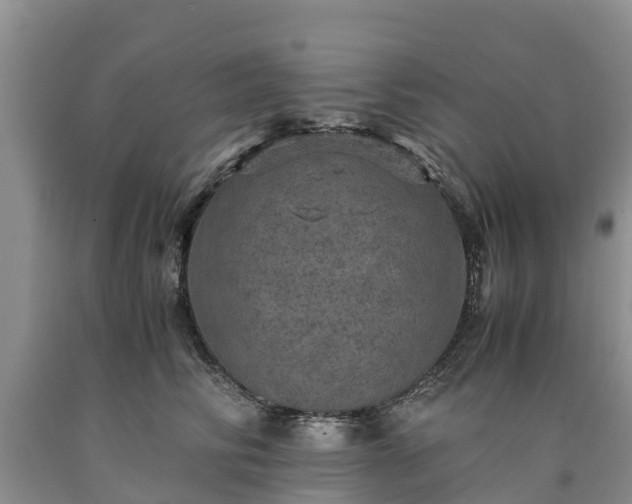 X0000090620710200707241129