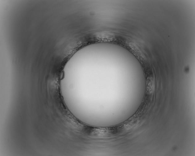 X0000090620713200707241129