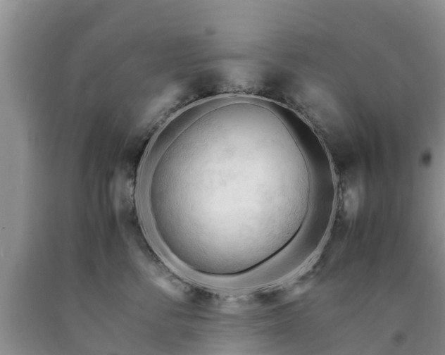 X0000090620716200707241129