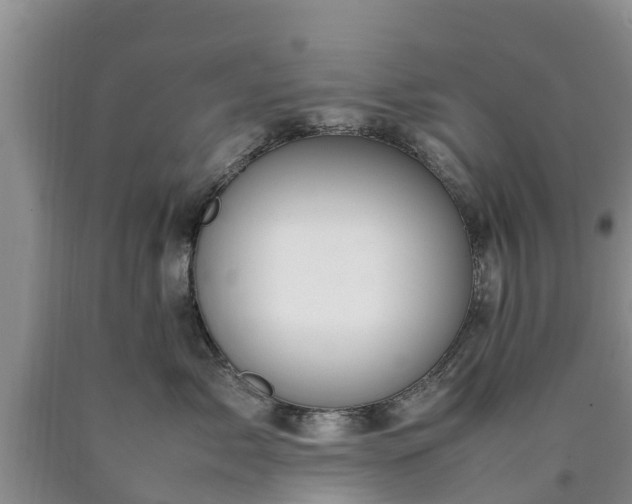 X0000090620717200707241129