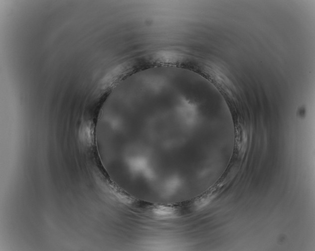 X0000090620718200707241129