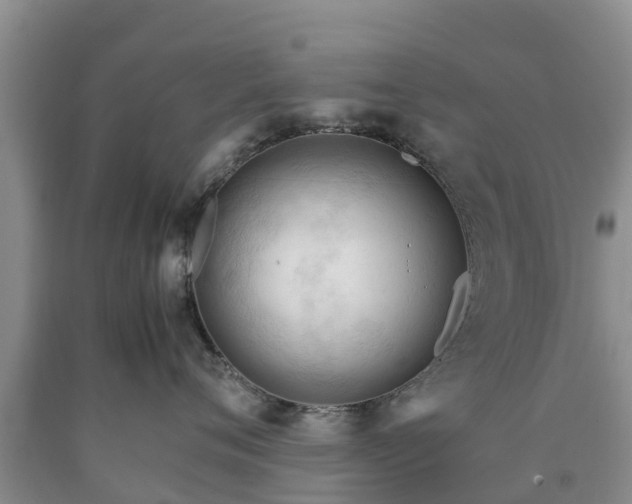 X0000090620720200707241129