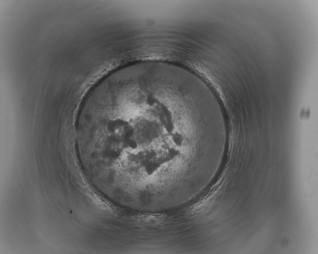 X0000090620721200707241128