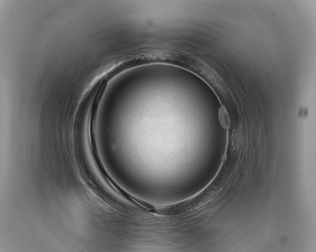 X0000090620722200707241128