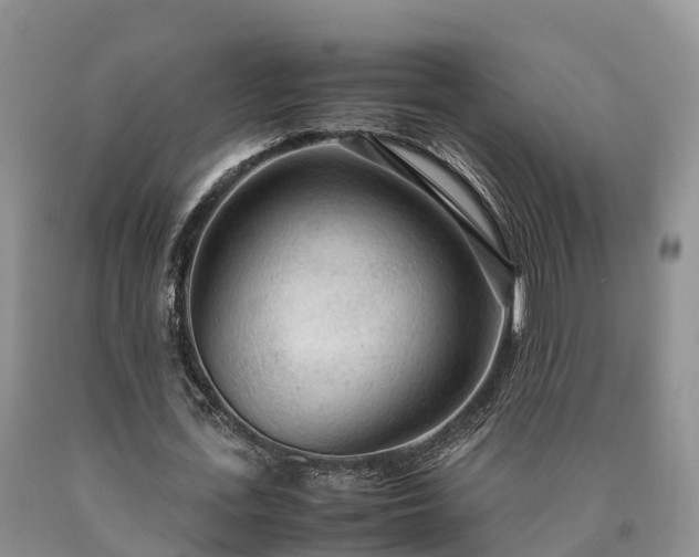 X0000090620723200707241128