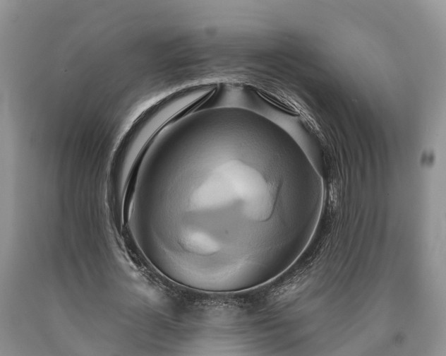 X0000090620724200707241128