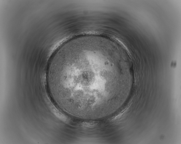 X0000090620725200707241128