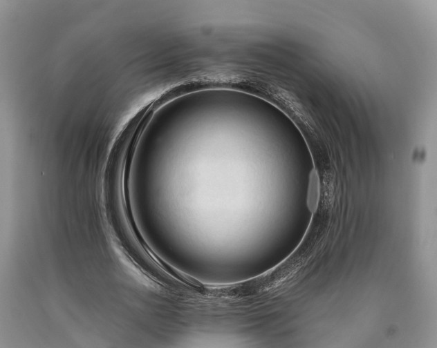 X0000090620726200707241128