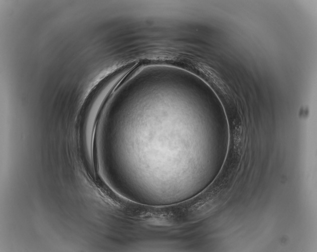 X0000090620727200707241128