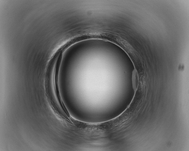 X0000090620728200707241128