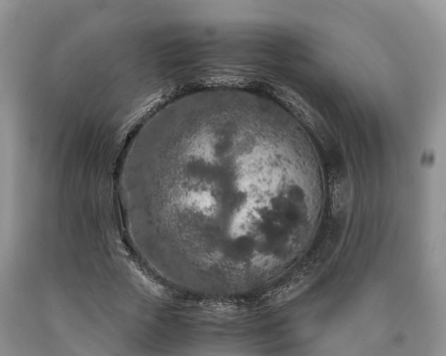 X0000090620729200707241128