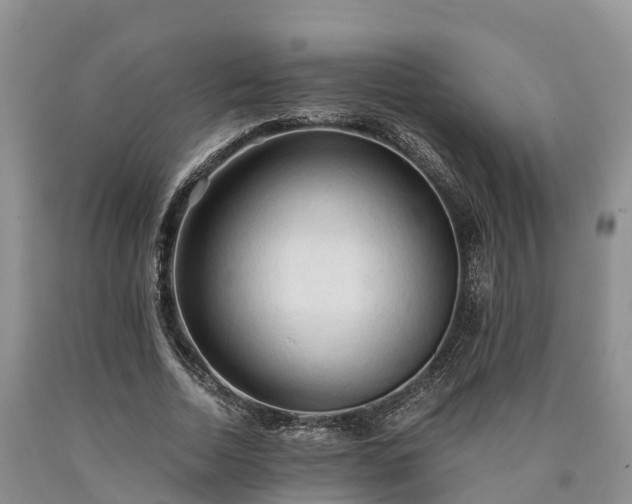 X0000090620730200707241128