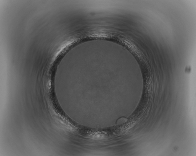 X0000090620731200707241128