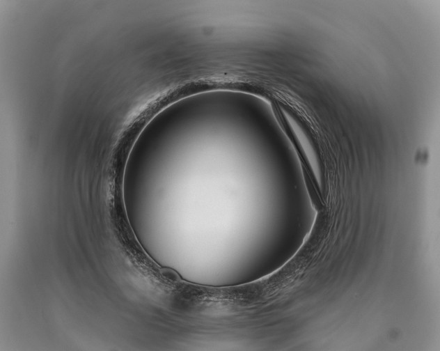 X0000090620732200707241128