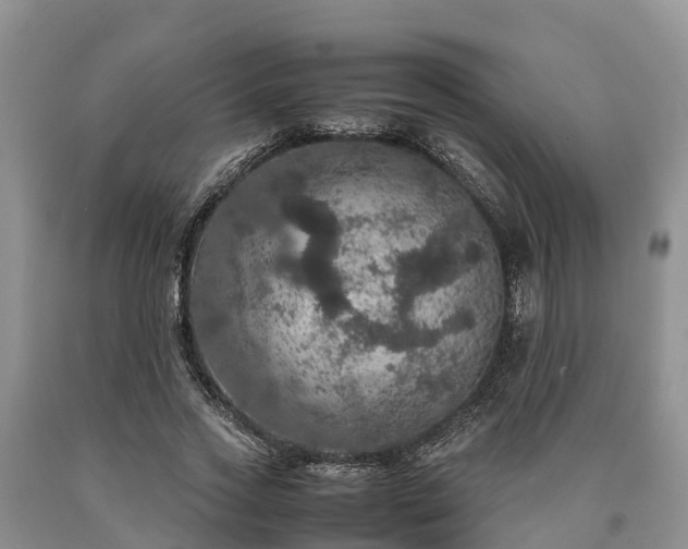 X0000090620733200707241128