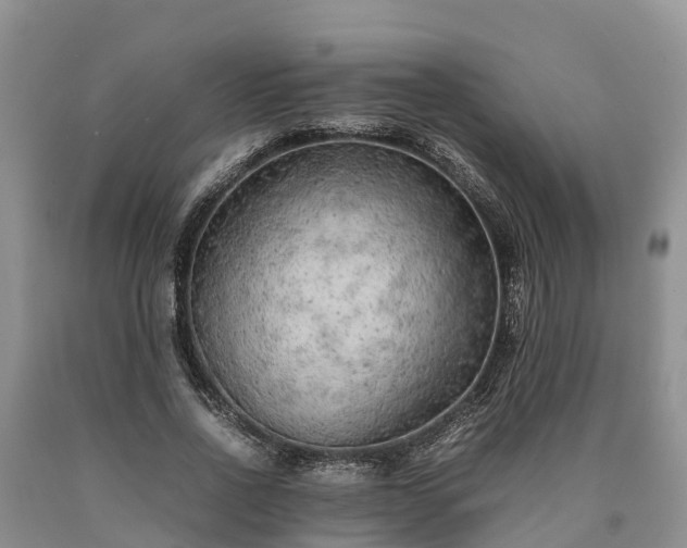 X0000090620734200707241128