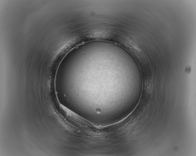 X0000090620735200707241128