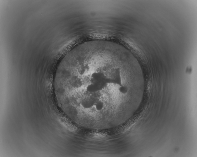 X0000090620737200707241128