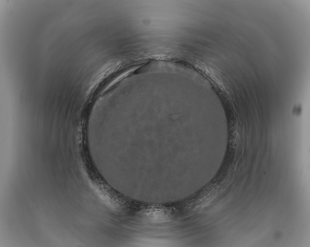 X0000090620738200707241128
