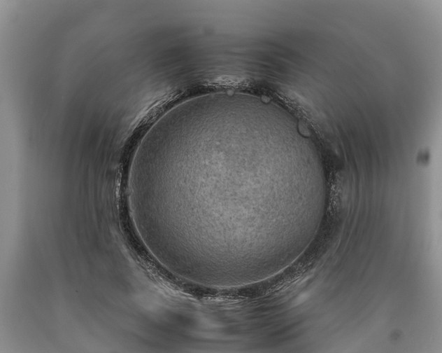 X0000090620739200707241128