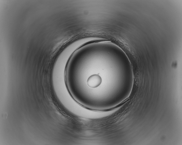 X0000090620740200707241128