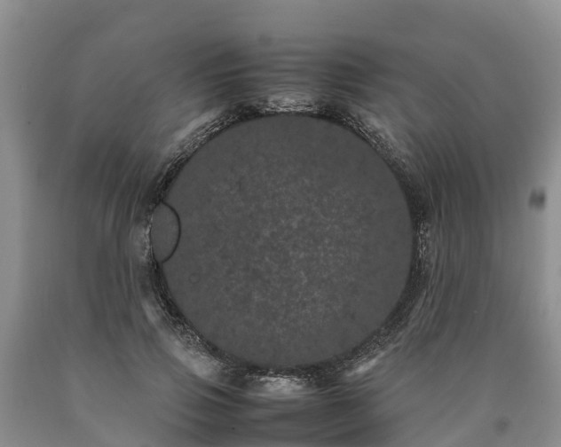 X0000090620741200707241129