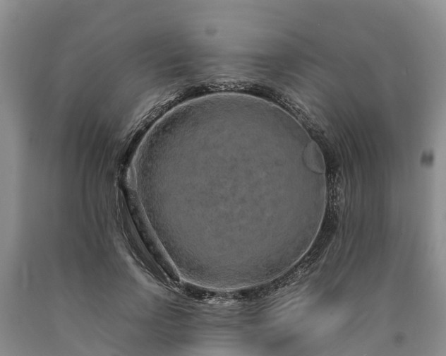X0000090620742200707241129