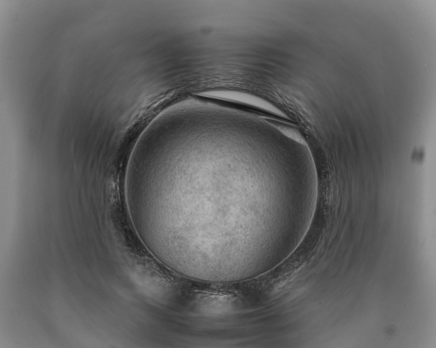X0000090620743200707241129