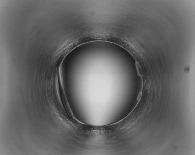 X0000090620744200707241129