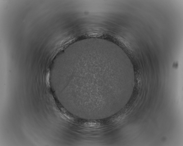 X0000090620745200707241129