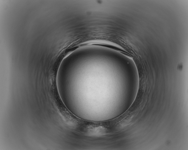 X0000090620747200707241129