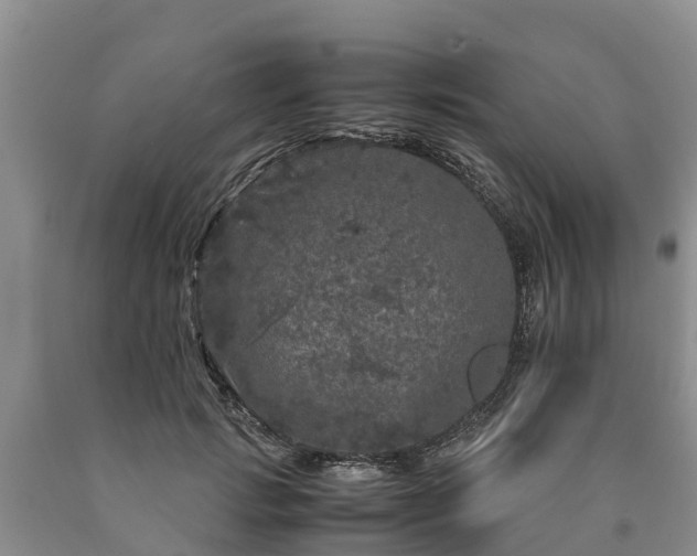 X0000090620749200707241129