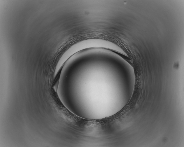 X0000090620750200707241129
