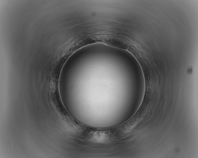 X0000090620751200707241129