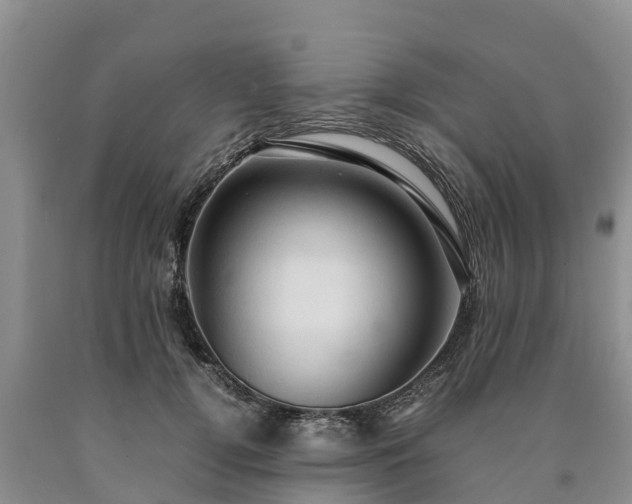 X0000090620752200707241129