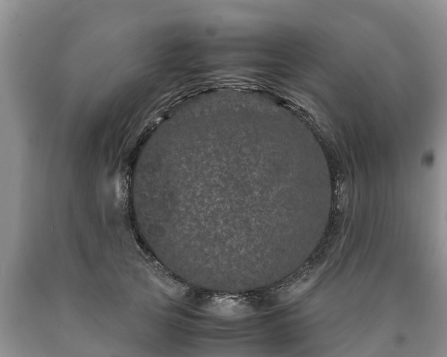 X0000090620753200707241129