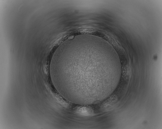 X0000090620755200707241129