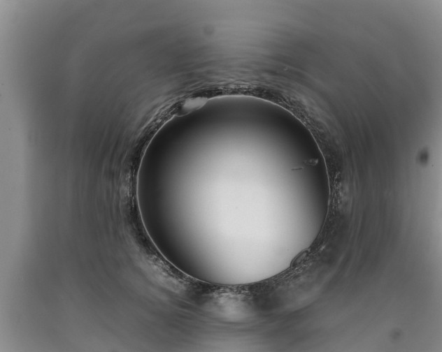 X0000090620756200707241129