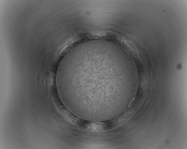 X0000090620758200707241129