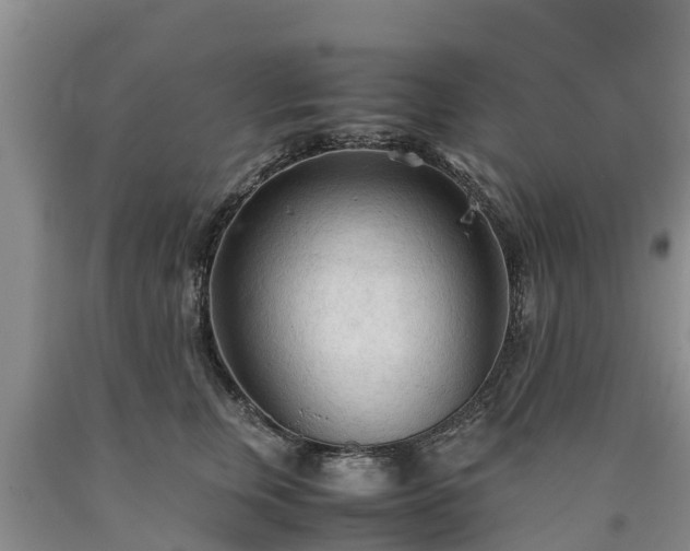 X0000090620759200707241129