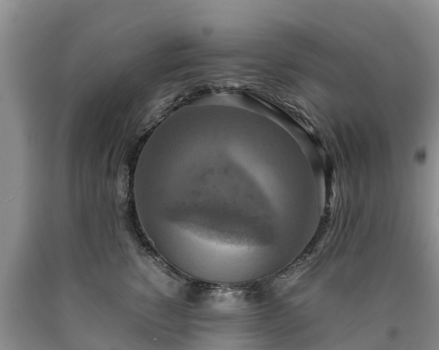 X0000090620760200707241129