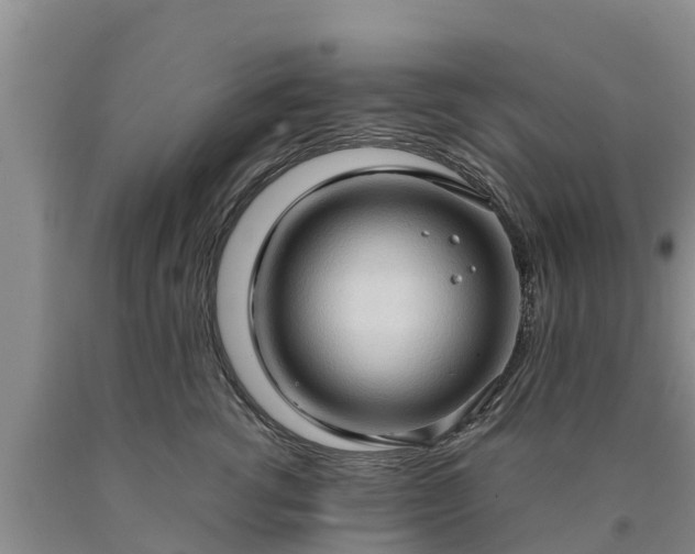 X0000090620762200707241129
