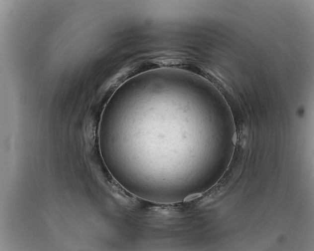 X0000090620763200707241129