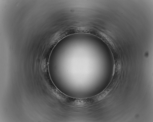 X0000090620764200707241129