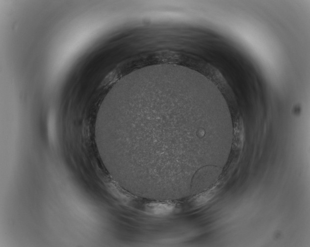 X0000090620765200707241129