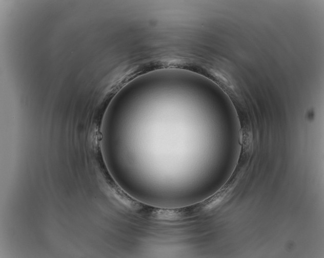 X0000090620766200707241129