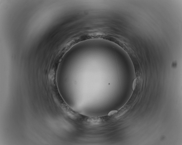 X0000090620767200707241129