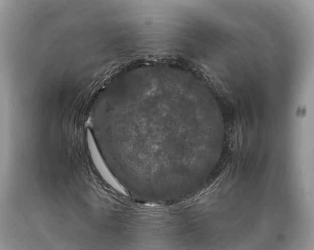 X0000090620770200707241128