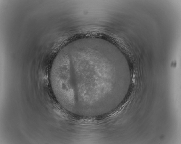 X0000090620771200707241128